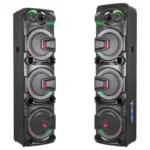 اسپیکردوتیکه دی جی دار 6 ساب12+ دو توییتر - مدلCH-1000 آنیکو